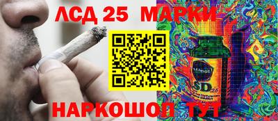 амф Обь
