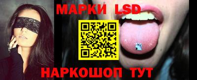 индика Новодвинск
