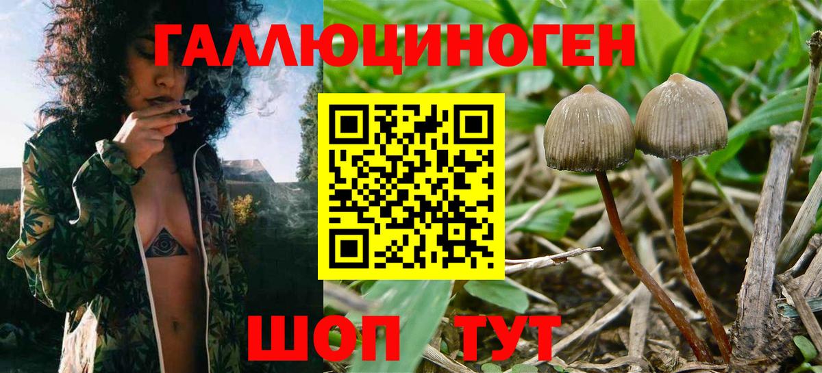 Галлюциногенные грибы Cubensis  Вход с VPN  магазин  наркотиков  Слободской 